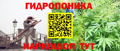 ешки Шахты
