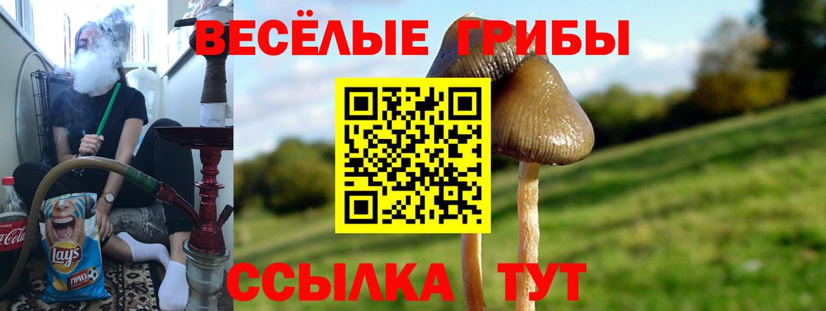Галлюциногенные грибы прущие грибы Ижевск